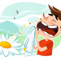 Аллергология