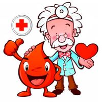 Диагностические услуги и анализы