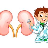 Нефрология